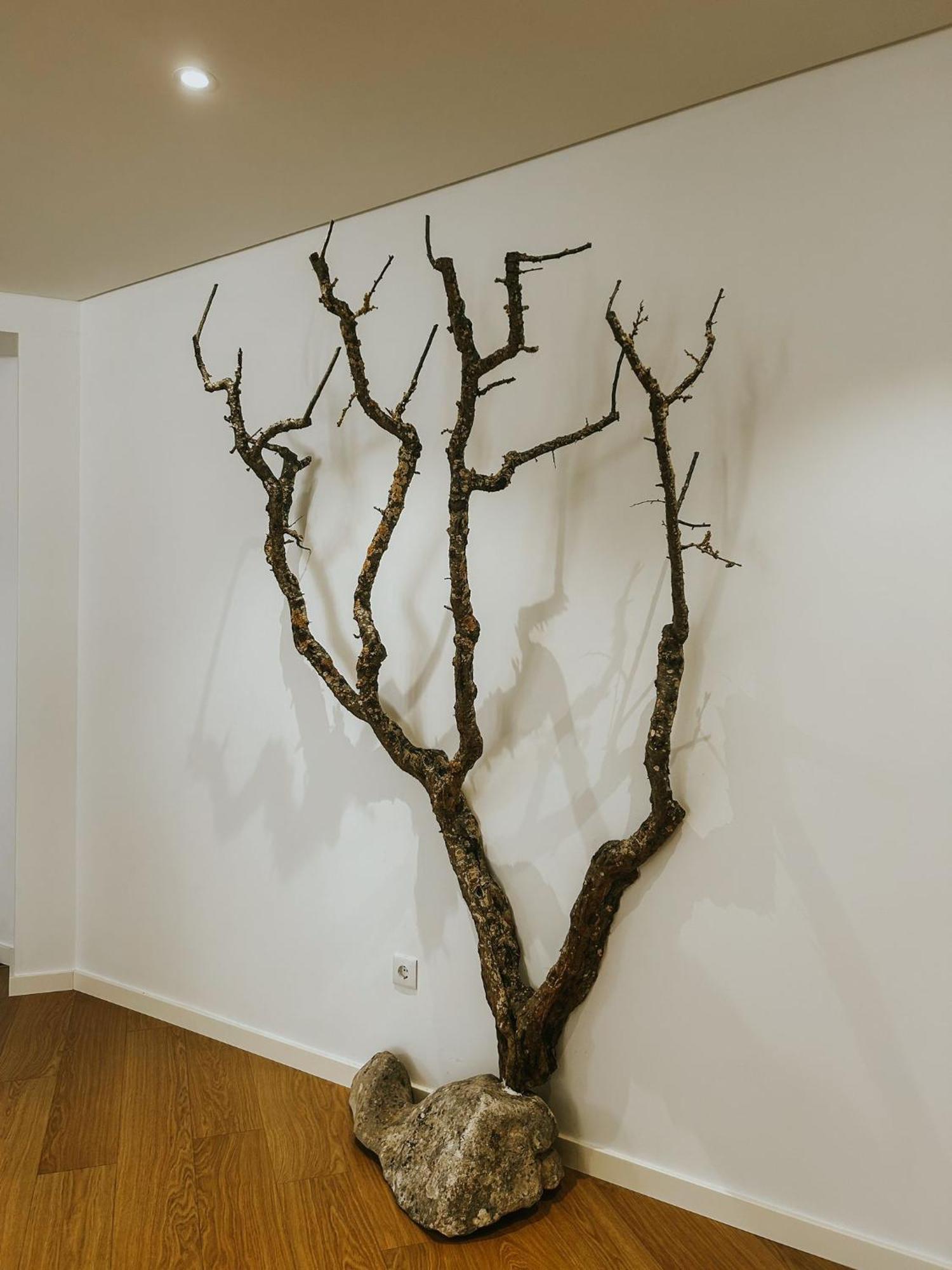 Moledo Refugio Da Rainha住宿加早餐旅馆 外观 照片